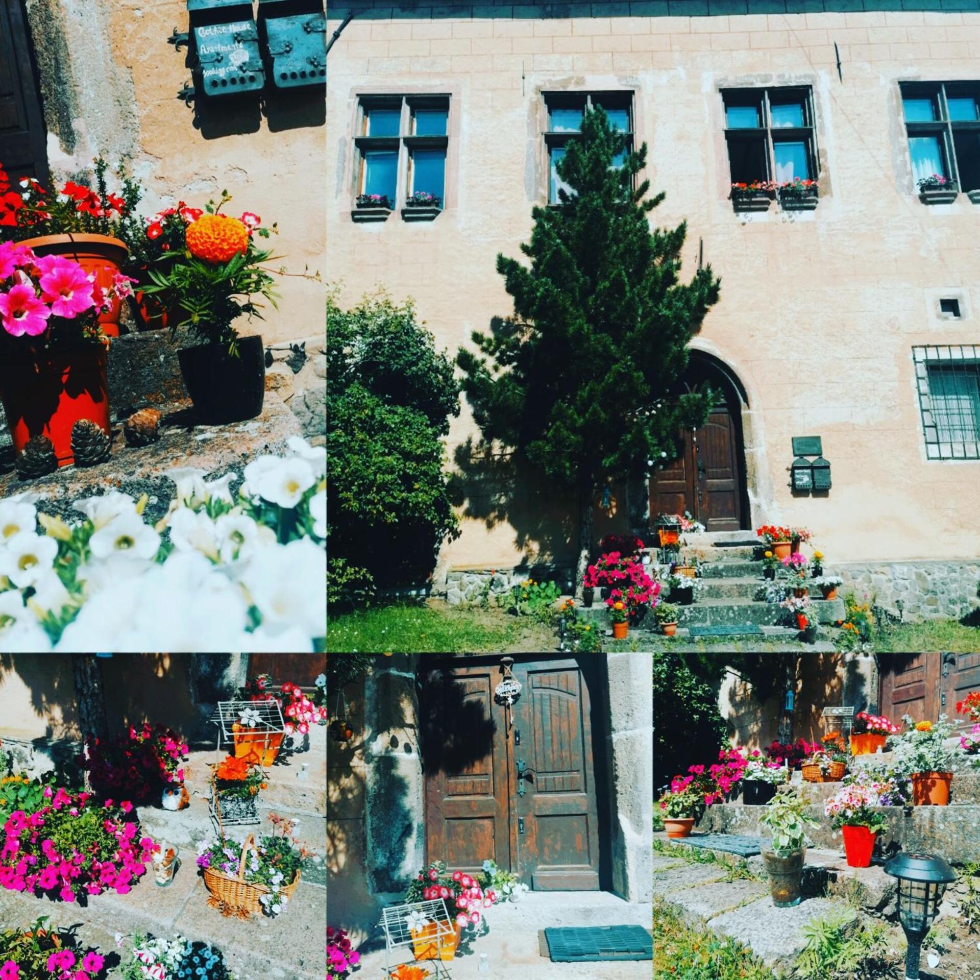 Gothic House Apartments Кремница Екстериор снимка